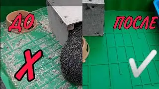 Уборка у ежихи в клетке Боня на прогулке