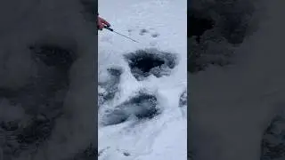 Подкинул и тут же поклёвка 