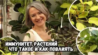 Иммунитет растений - что это такое, и как на него повлиять?..