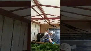 Привет из Англии!