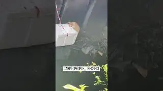ПРИКОЛ ПИШАК