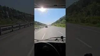 Насекомые простите #шортс #рекомендации