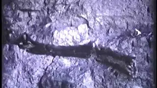Home Movie  -   Vernal Utah