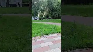 #лета