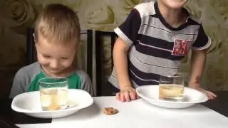 Опыты с Матвеем и Ильюшей