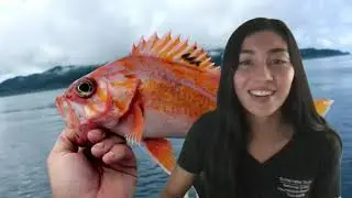 The Sea-sational Scientists & Fin-tastic Creatures of Bodega Marine Lab & CMSI