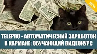 Заработок ежедневные выплаты