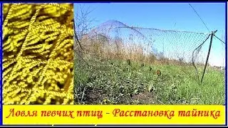 Ловля певчих птиц - Расстановка тайника