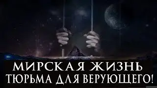 Мирская жизнь - тюрьма для верующего!