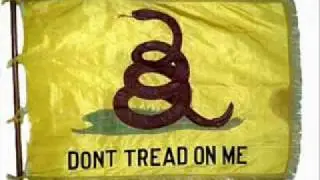 Gadsden Flag - Don't tread on me