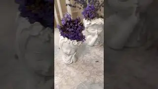 Сушу лаванду❤️ жарким летним днем 