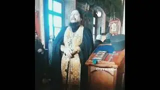 Иг.Филипп ( Перцев) о грехах ближнего и своих грехах⚠️
