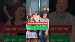 Караоке песня «Одинокая гармонь», Пташица под гармонь 