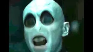 The Elder Wand Could Not Understand Voldemort