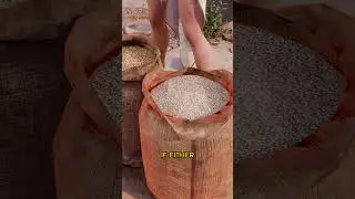 Weirdest Test Of Ancient Egypt🙄