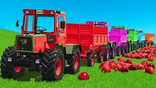 LOAD RED APPLES & TRANSPORT CONVOY WITH MERCEDES TRACTORS - FS25