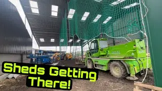 New Sheds Looking Better! Beef Cattle Work!