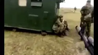 Это амия детка.