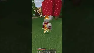 Minecraft Manhunt: I entered the Nether portal