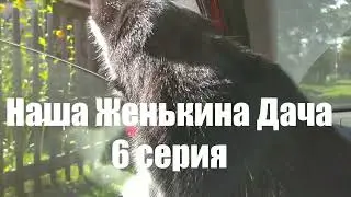 Наша Женькина Дача. 6 серия.
