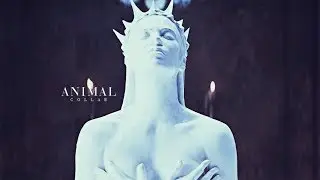 ANIMAL.