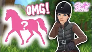 Dream horse for half price! 😍😲 SSO