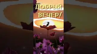 С добрым вечером! #добрыйвечер #пожелания #shorts