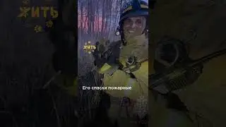 Когда воспользовался последним шансом @shortszoozhit  #животные #спасение #питомец #shorts