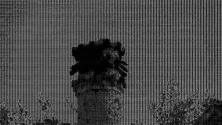 ASCII aalib K. C.