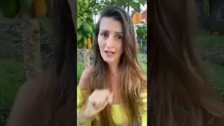 Papaya: How it grows and how it is harvested