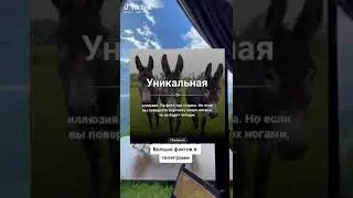 получилось?