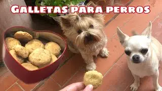 Galletas para perros. Receta fácil y rápida. Ingredientes aptos para perros.