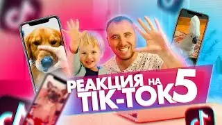 Попугай ГАВКАЕТ 😳🐶 Галустян с ДИНОЗАВРОМ 🦖 TIK TOK 5