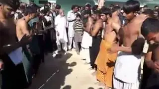 Matmi sanghat dheedwal chakwal مہرو پیلو