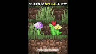 Minecraft meme