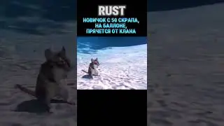 RUST КАК НАЛУТАТЬ МНОГО СКРАПА #shorts #rust