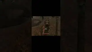Meeko's Just Playin' 😎🐕 #Skyrim #Funny #Gamer