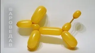 Нow to make a dog of balloon