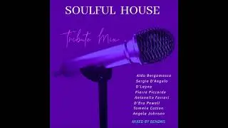 Soulful House Vocal (Mixed By Ben Dns) [Tribute Mix]