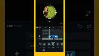 Camera Click Transition Effect In Vn App