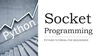 #23 - Socket Programming in Python