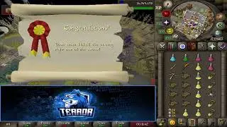 Terror vs Misfits | P2P MINI 9v9 | 2-0 (Sets) [OSRS Pure Clan]