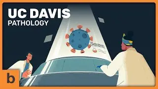 Explainer Video for UC Davis Pathology | Motion with Characters