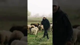 Муххудин - пастух в карачаево-черкесской Республике ♥️