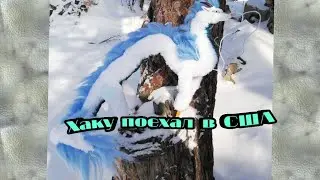 ходила на почту.