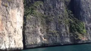 Koh Phi Phi Longtail