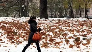 Юта / 