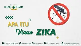 Apa itu Virus Zika? - RS Husada Utama Surabaya