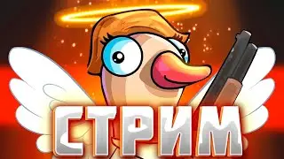 Стрим Оценка Каналов / Бесплатный пиар / ИГРАЕМ В Goose Goose Duck / Ламповое общение !
