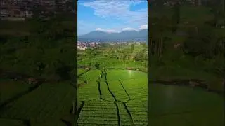 Dji mini 3 Pertama kali tes terbang #dji #mini3 #droneshorts #drone #dronevideo #dronefootage